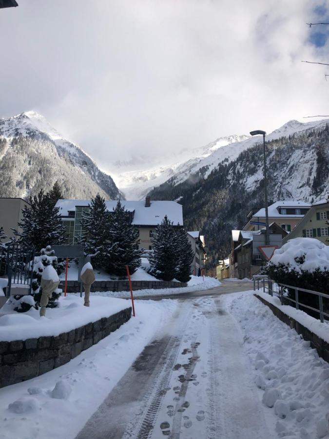 Alpine Haus Apartment Göschenen Екстериор снимка