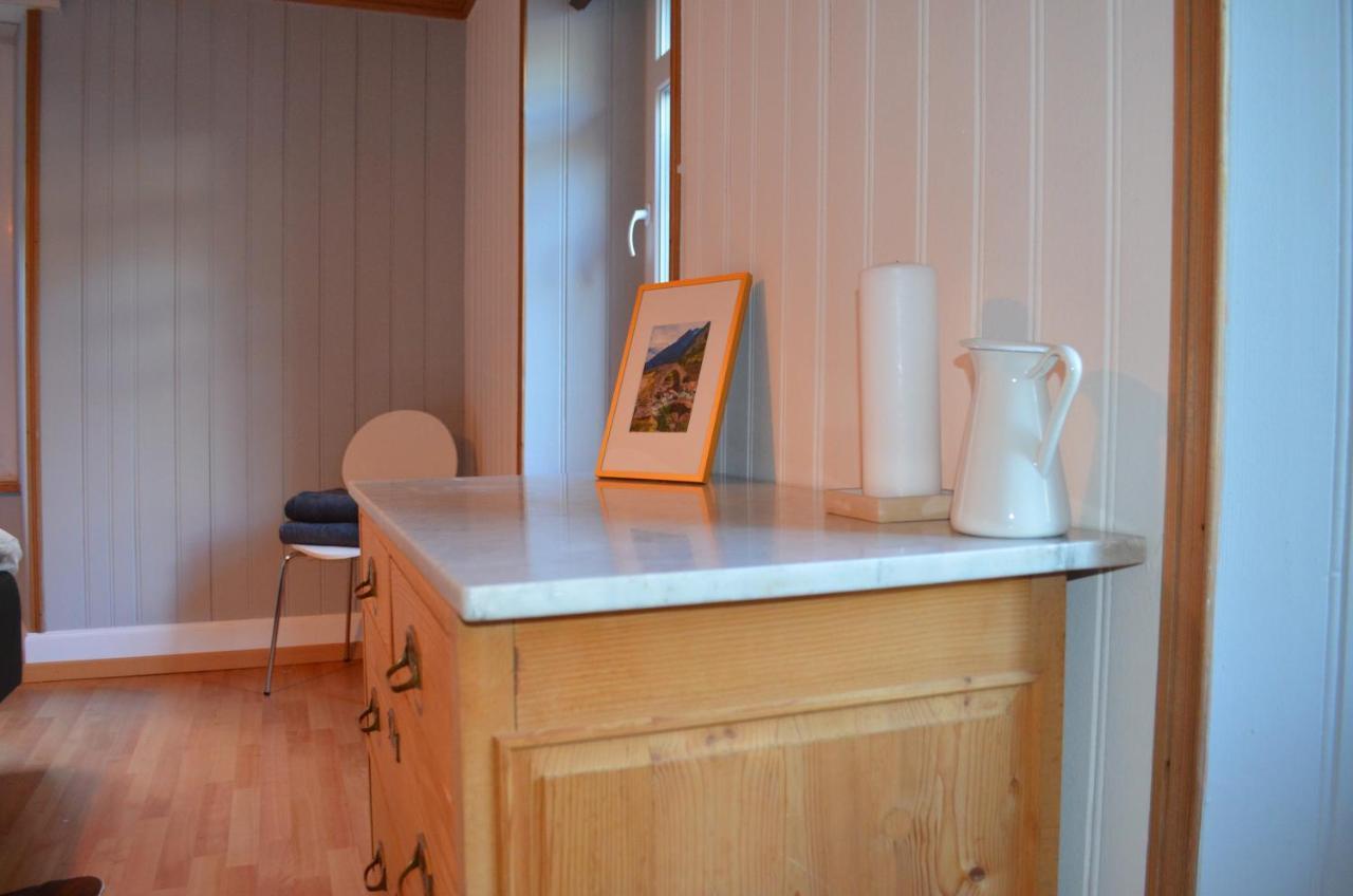 Alpine Haus Apartment Göschenen Екстериор снимка