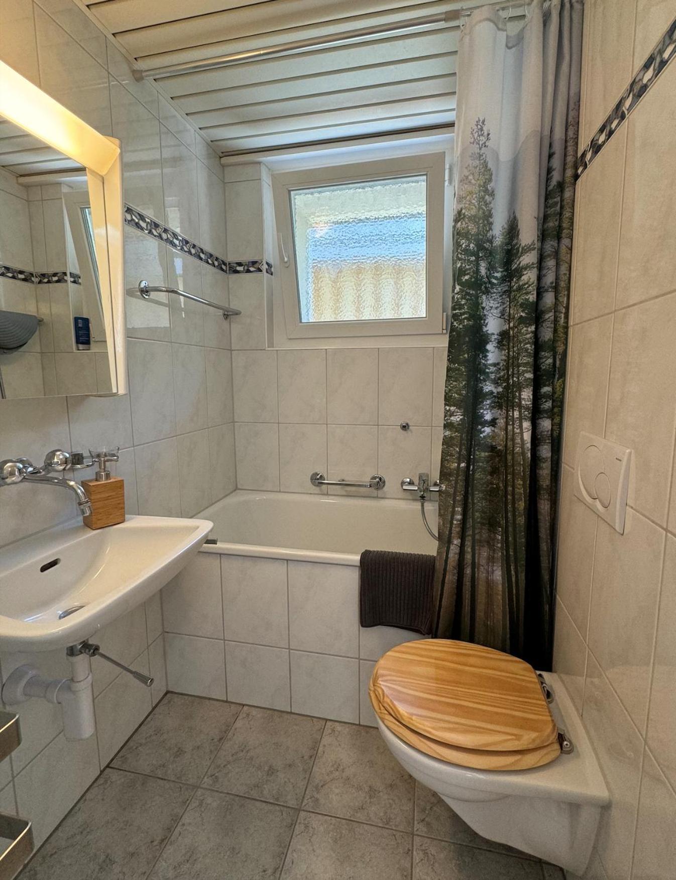 Alpine Haus Apartment Göschenen Екстериор снимка